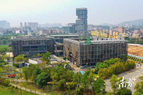 南方观察 打开低碳产业 百宝盒 ,龙岗低碳发展引擎业已启动
