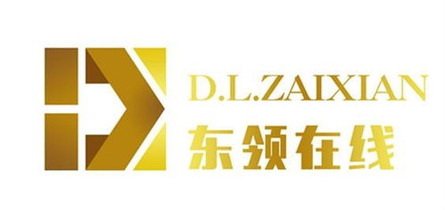 山东东领贷网络科技