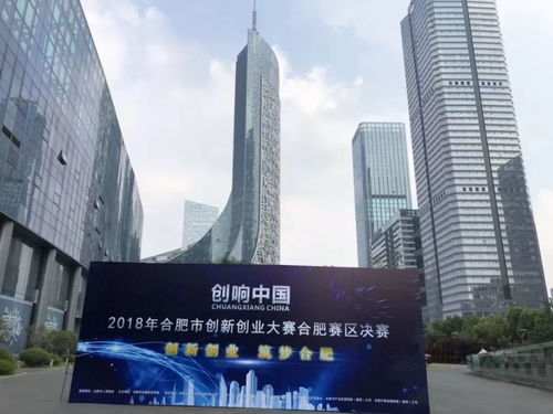 喜报 洪泰中安孵化项目 东超科技在合肥市创新创业大赛中获奖