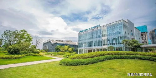 点亮 广州建设世界显示之都的金融初心和国企担当