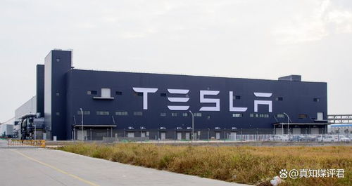 特斯拉 已在中国建立数据中心