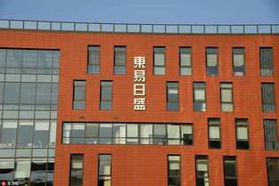 东易日盛上市五周年,陈辉想要走的科技家装之路没有改变