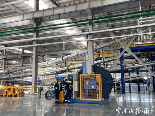 我为企业解难题 各方助力,东方电缆未来工厂提前一年投产