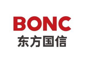 北京东方国信科技股份