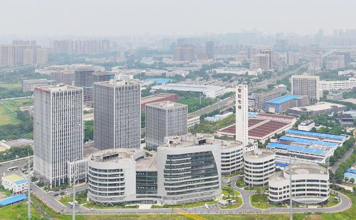 东楚网