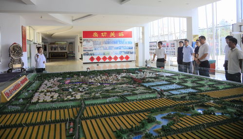 东北农业大学赴甘南县开展 科技赋能促发展 医疗助力解民忧 活动