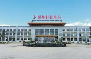 法院判决超华科技 002288 应赔偿八名投资者474万余元