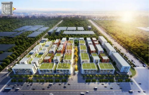 215.37亿 潍坊这11个大工程集体亮相